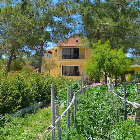 Apartmán Alexandra Melíkia